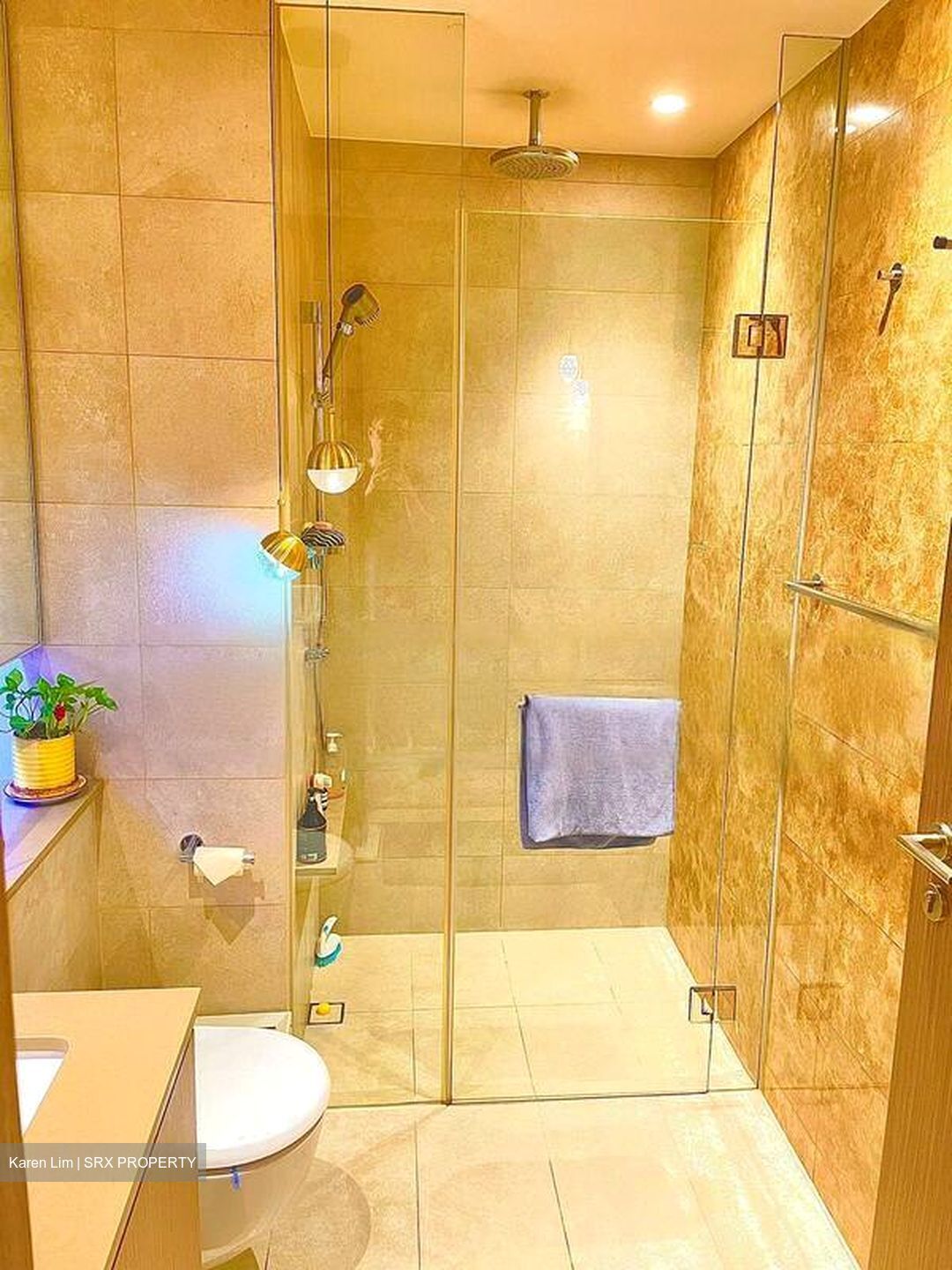 Seaside Residences (D15), Apartment #447248481